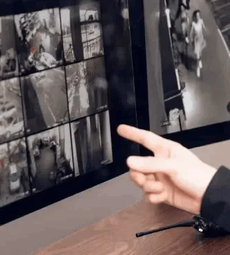 Multimedia Profesional